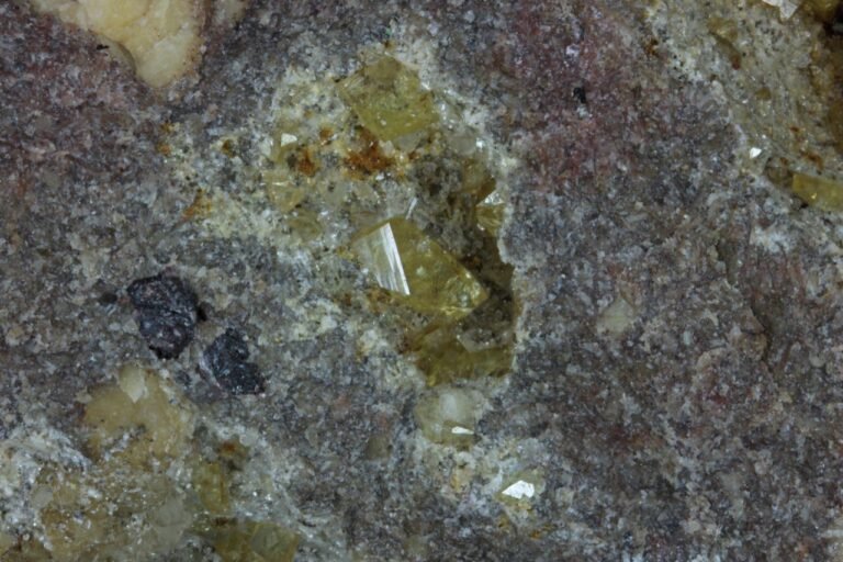 MMS 55-4 Titanite, Epidote, Solerød, Undrumsdal, Tønsberg, Vestfold, Norway