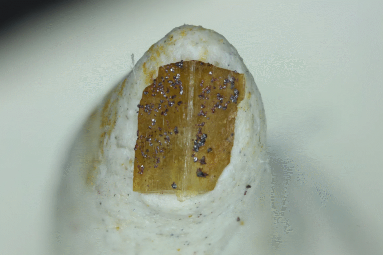 MMS 47-14 Metacinnabar, Cinnabar, Siderite, Styrian Erzberg, Eisenerz, Leoben District, Styria, Austria