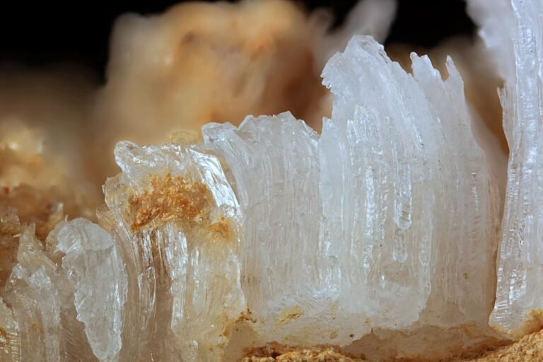 MMS 59 P1596 Gypsum, Dome Rock, South Australia