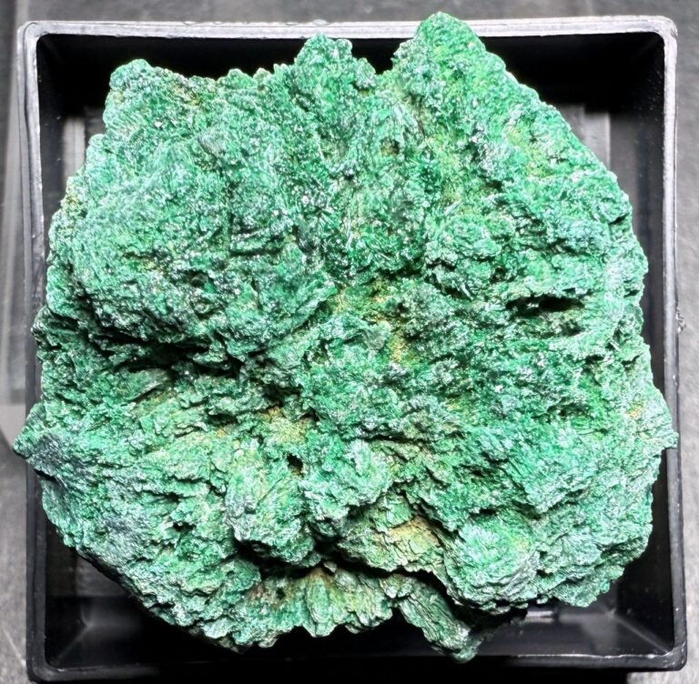 MMS 59 P1603 Malachite after Azurite, Sir Dominic Mine, Flinders Ranges, South Australia