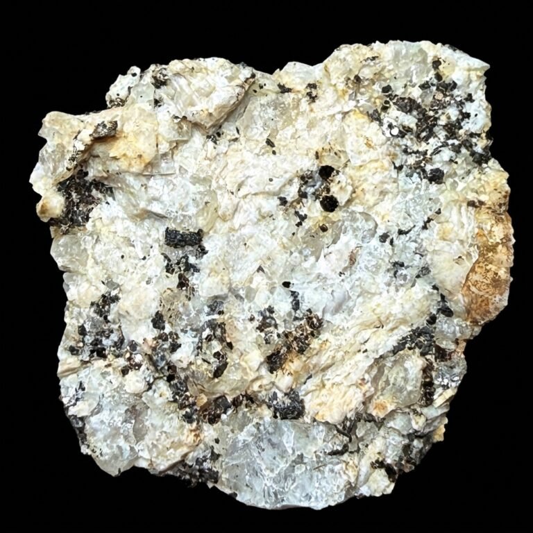 MMS 61 P483 Phlogopite Mount Anakie Crater, Victoria