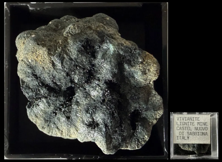 SOLD 26060310 Vivianite, Lignite Mine, Castel Nuovo, Di Sabbiona, Italy